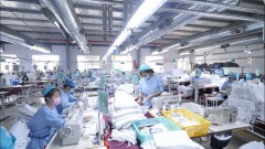 Breakthrough in exports in the New Year 2023