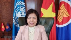 WEF 2023 - Chance for Vietnam to share vision, experience with international community