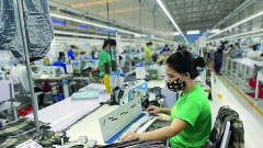 Maintaining the position of export surplus thanks to FTAs