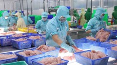 Seafood firms look to second quarter for exports to recover