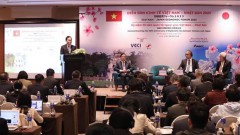 Deputy PM suggests Vietnam, Japan boost cooperation in spearhead industries