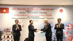 Solid foundation for Vietnam-Japan cooperation
