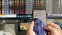 VN-Index to increase by over 20 per cent this year: VinaCapital