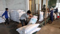 Domestic sugar under pressure on home turf