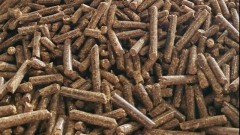 Pellets, chips to remain export growth drivers for wood industry in 2023