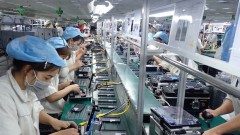 FDI expected to bounce back with improved investment climate