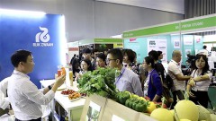 Vietnamese produce exporters eye high-quality markets worldwide