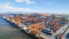 Seaport stocks fail to entice investors