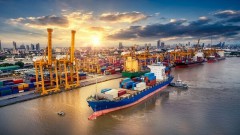 Seafood stocks to remain unsteady