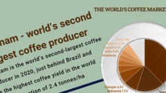 Vietnam remains world’s second-largest coffee exporter