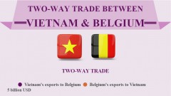 Vietnam, Belgium strengthen two-way trade