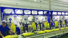 Removing bottlenecks for the sustainability of the rice industry