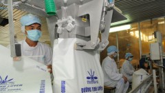 Sugar industry to recover this year