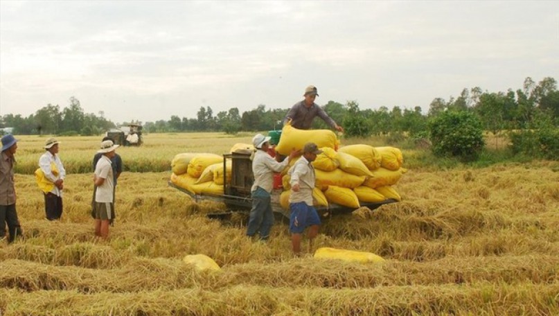 Central bank calls for prioritising loans for rice industry