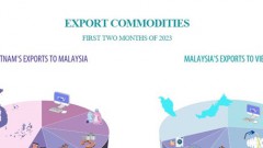 Vietnam-Malaysia trade relations