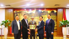 Intensifying Vietnamese-Thai Business Connection