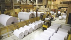 Paper industry needs to switch to production of high-quality packaging: association