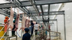 Industrial slaughtering enterprises face closure due to losses