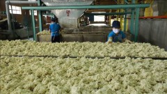Rubber industry needs better grip on competitiveness in int’l market