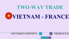 Vietnam, France strengthen two-way trade