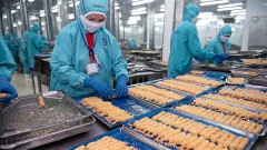 Shrimp exporters focus on added value