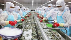 Seafood exports to Russia after more than a year of war