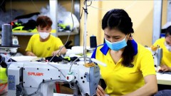 Garment sector must go green to ensure sustainable development