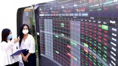 Increase in domestic cash inflow in stock market