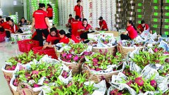 Expanding opportunities to export many key commodity groups to Israel