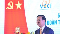 VCCI serves as a crucial link between the Party, the State and the business community