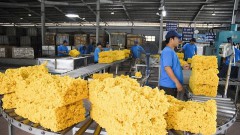 Solutions for&nbsp;the future of the rubber industry