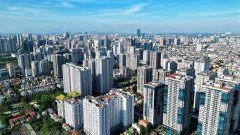 Real estate market to rebound thanks to new policies