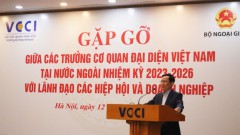 Supporting Vietnamese Enterprises in International Integration