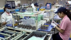 Measures needed to sustain FDI growth trend: expert