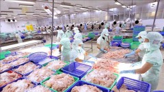Removing obstacles to boost tra fish exports to key markets