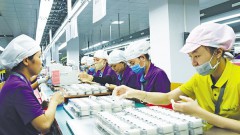 Improving FDI quality, quantity crucial for Vietnam: Insiders