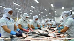 Fisheries businesses face tough year in 2023