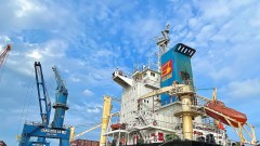 When will the international container shipping route through Cua Lo port be reopened?