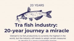 Tra fish industry: 20-year journey a miracle
