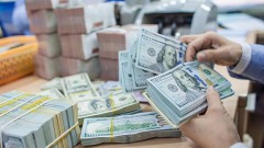 USD/VND exchange rate could remain stable