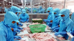 Seafood exporters to see improved profits in H2