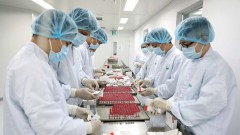 Policy breakthrough needed to better attract investment to pharma sector: expert