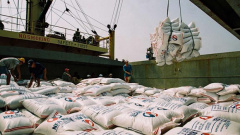 Rice exporters benefit from rising prices