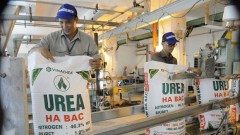 Fertiliser enterprises apply modern technology to reduce emissions