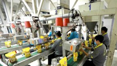 Rice sector needs more support to shift from quantity to quality