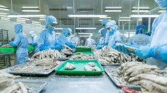 Seafood is positively exported to the CPTPP market