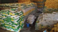 Vietnamese rice prices up after rice export ban of India, Russia, UAE