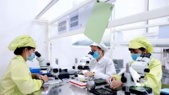 Local electronics producers slip through the cracks