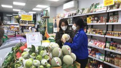 Vietnamese goods hope to conquer domestic market