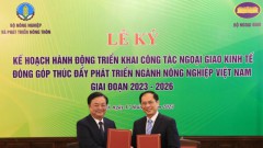 Economic diplomacy to be promoted to fuel agricultural development